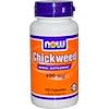Chickweed, 400 mg, 100 Capsules