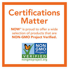 NOW Foods, Ginkgo biloba, Double efficacité, 120 mg, 200 capsules végétariennes