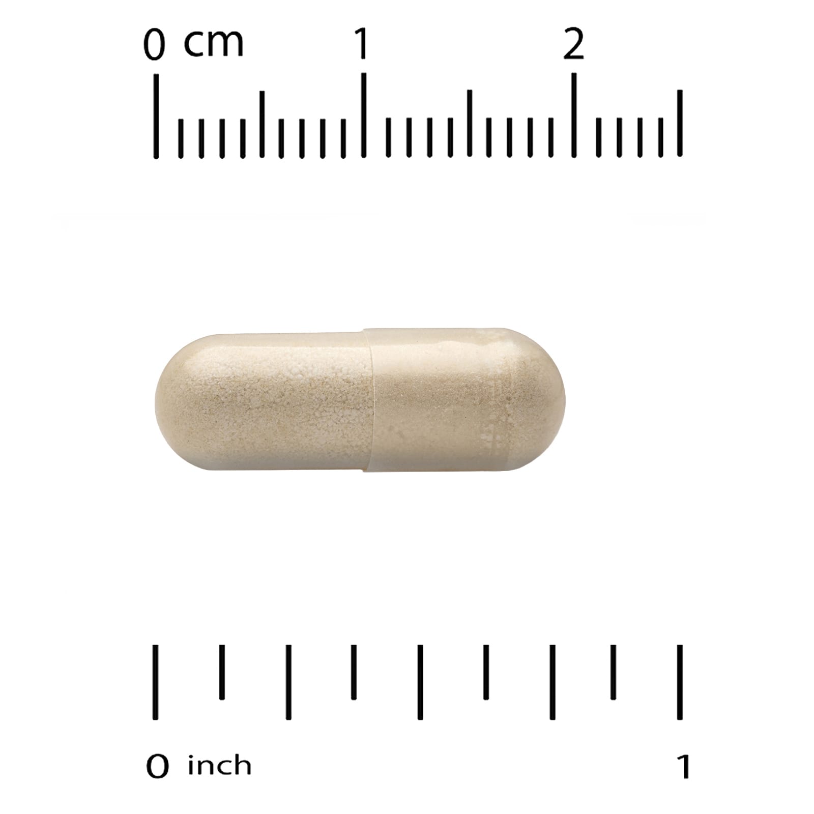 NOW Foods, 水飛薊草本提取物，300 毫克，200 粒素食膠囊