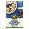 Organic Instant Oatmeal, Blueberry Cinnamon Flax, 8 Packets, 11.3 oz (320 g)