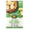 Nature's Path, Organic Fruit Juice Corn Flakes Cereal, 10.6 oz (300 g)