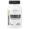 Tribulus, 90 cápsulas (500 mg por cápsula)