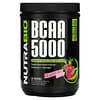 BCAA 5000，火龍果糖，1.03 磅（465 克）