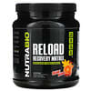 Nutrabio Labs, リロードリカバリーマトリックス、オレンジマンゴー、829g(1.83ポンド)