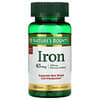 Iron, 65 mg, 100 Tablets