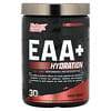EAA + Hidratação, Ponche de Frutas, 390 g (13,76 oz)