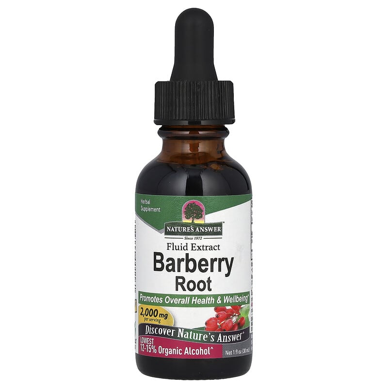 Barberry Root Barberry Root