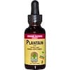 Plantain Leaf, Organic Alcohol Extract, 1 fl oz (30 ml)