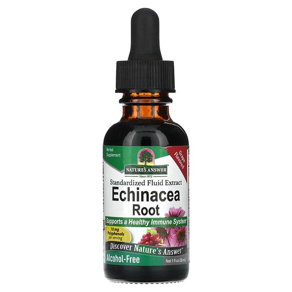 Nature's Answer, Echinacea Root, Alcohol-Free, Grape, 1 fl oz (30 ml)