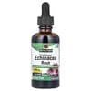 Echinacea Root, Fluid Extract, Alcohol-Free, 1,000 mg, 2 fl oz (60 ml)