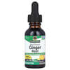 Ginger Root, Fluid Extract, Alcohol-Free, 1,000 mg, 1 fl oz (30 ml)