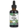 Ginkgo Leaf, Fluid Extract, Alcohol-Free, 2,000 mg, 2 fl oz (60 ml) (1,000 mg per ml)