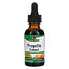 Propolis Extract, Alcohol-Free, 2,000 mg, 1 fl oz (30 ml)