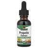 Propolis Extract, Ethanol-Free, 1 fl oz (30 ml)