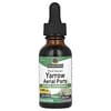 Nature's Answer, Yarrow Aerial Parts, Alcohol-Free, 2,000 mg, 1 fl oz (30 ml)
