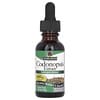 Codonopsis Extract, Alcohol-Free, 2,000 mg , 1 fl oz (30 ml)