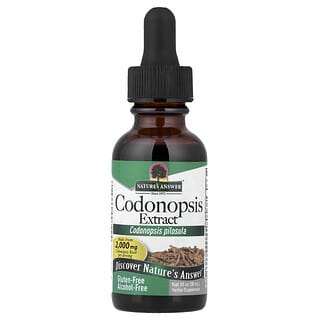 Nature's Answer, Extrato de Codonopsis, Sem Álcool, 30 ml (1 fl oz)