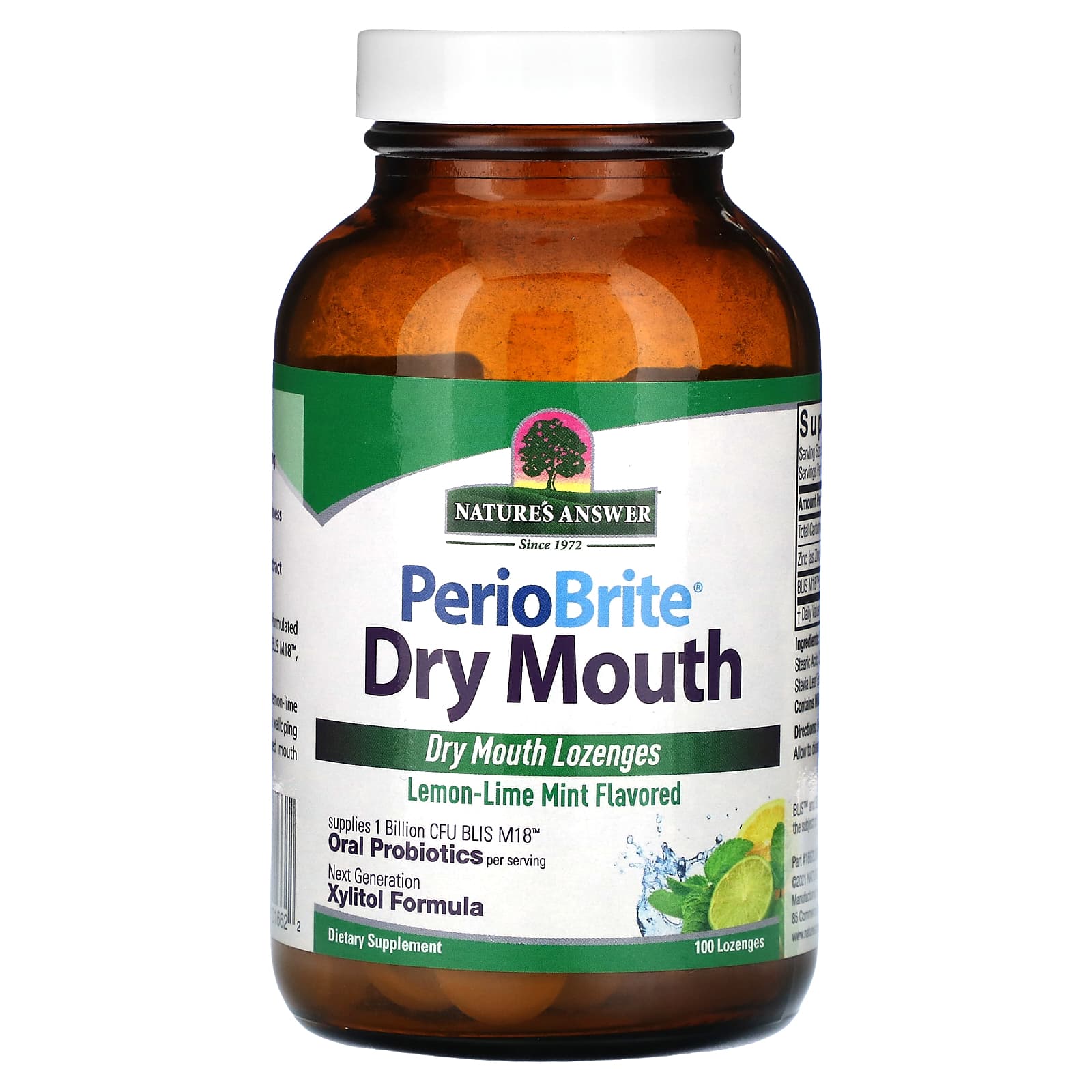 Nature's Answer, PerioBrite Dry Mouth Lozenges, LemonLime Mint, 100
