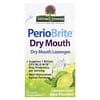PerioBrite® Dry Mouth Lozenges, Lemon-Lime Mint, 100 Lozenges