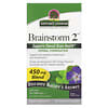 Brainstorm 2, Herbal Combination, 450 mg, 90 Vegetarian Capsules