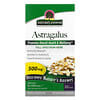 Astragalus, 500 mg, 90 Vegetarian Capsules