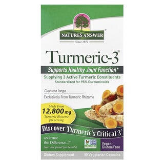 Nature's Answer, Turmeric-3，5000 毫克，90 粒素食膠囊