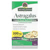 Astragalus, 500 mg, 60 Cápsulas Vegetarianas