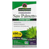 Saw Palmetto, Standardized, 690 mg, 120 Vegetarian Capsules