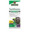 Sambucus, Black Elderberry, Alcohol-Free, 12,000 mg, 4 fl oz (120 ml)