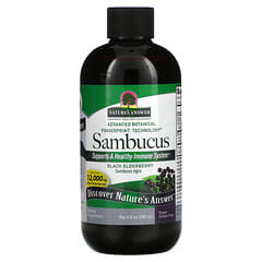 Nature's Answer, Sambucus, saúco negro, 12 000 mg, 8 oz líquidas (240 ml)
