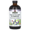 Complexe de vitamine B liquide, arôme naturel de mandarine, 480 ml (16 oz)