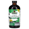 Liquid Chlorophyll, 100 mg, 16 fl oz (480 ml)