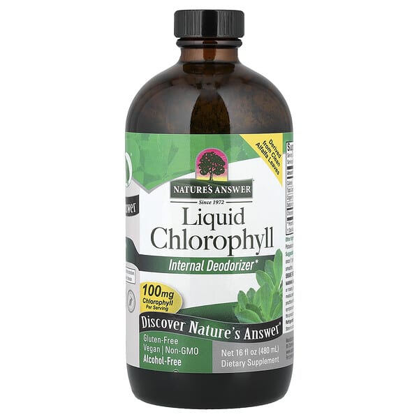 Nature's Answer, Liquid Chlorophyll, Alcohol Free, 16 fl oz (480 ml) — product photo 1