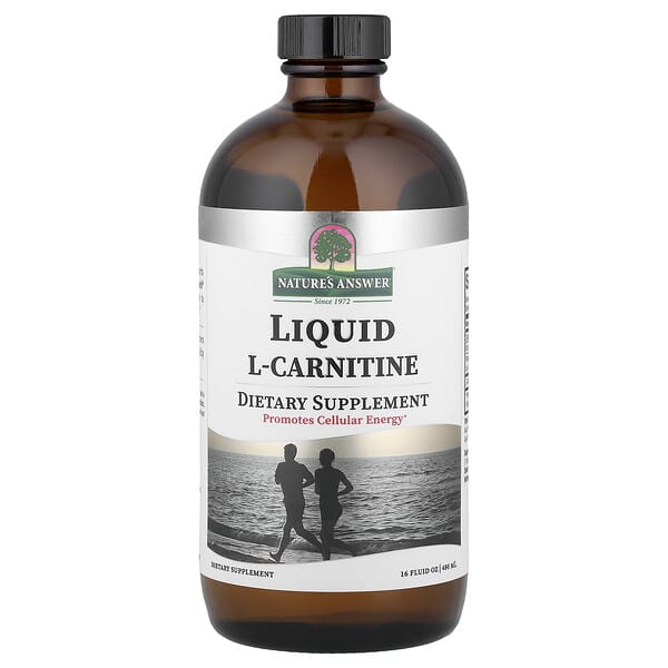 Nature's Answer, Liquid L-Carnitine, 16 fl oz (480 ml) — product photo 1