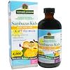 Sambucus Kid's Formula, Natural Orange Flavor, 4,000 mg, 8 fl oz (240 ml)