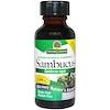 Sambucus, Alcohol-Free, 12,000 mg, 1 fl oz (30 ml)