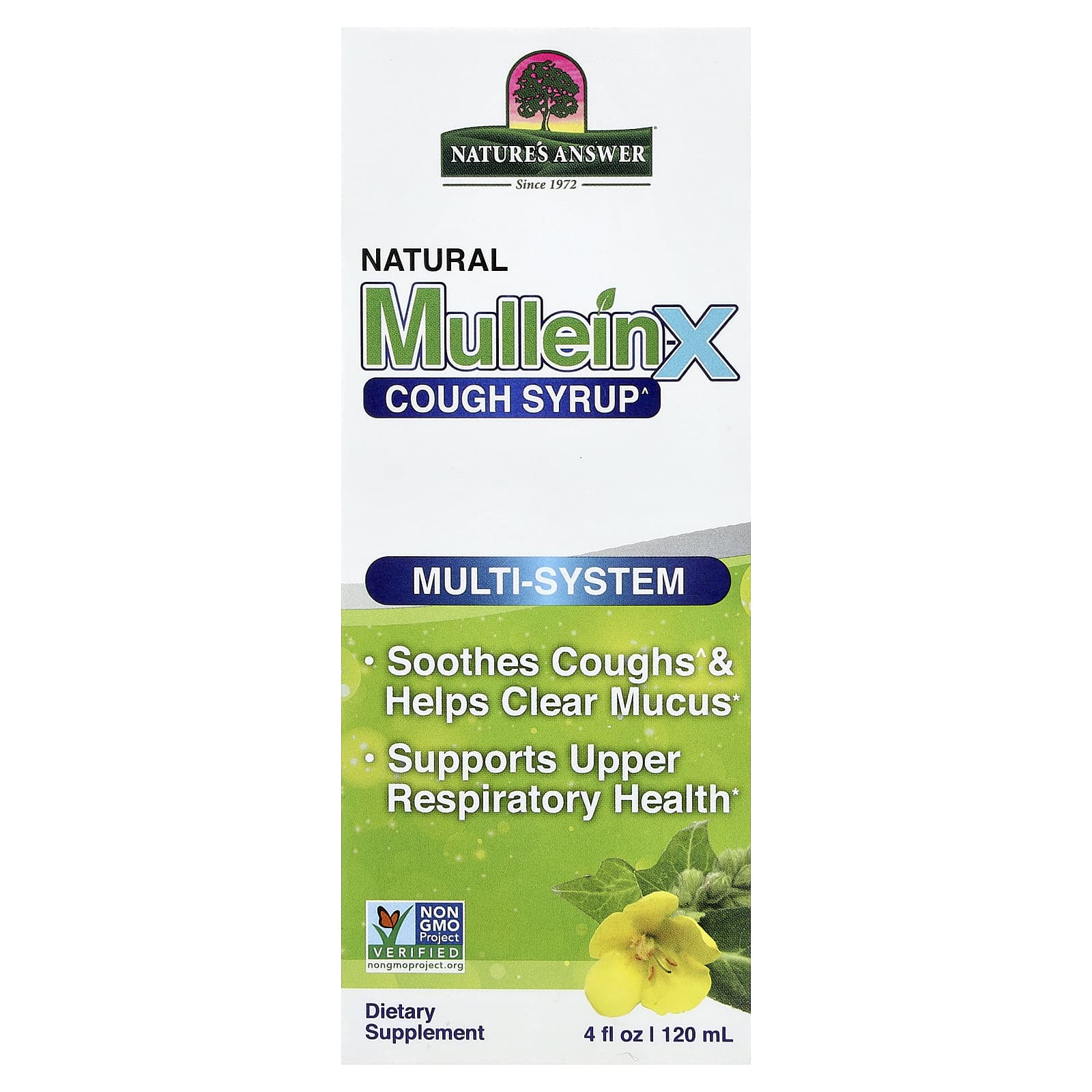 Natural Mullen-X Cough Syrup, Multi-System, 4 fl oz (120 ml)