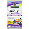 Kid's Sambucus Chewables, 7,200 mg, 60 Chewable Tablets