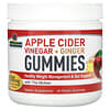 Apple Cider Vinegar + Ginger Gummies with The Mother, 500 mg, 45 Pectin Gummies