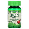 Iron, 65 mg, 120 Coated Tablets