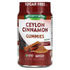 Ceylon Cinnamon, 60 Vegan Gummies