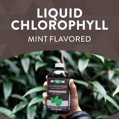 Nature's Way, Chlorofresh, Chlorophylle liquide, Menthe, 132 mg, 473,2 ml