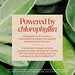 Nature's Way, Chlorofresh®, Liquid Chlorophyll, Mint, 480 ml (16 fl oz) - Image 4