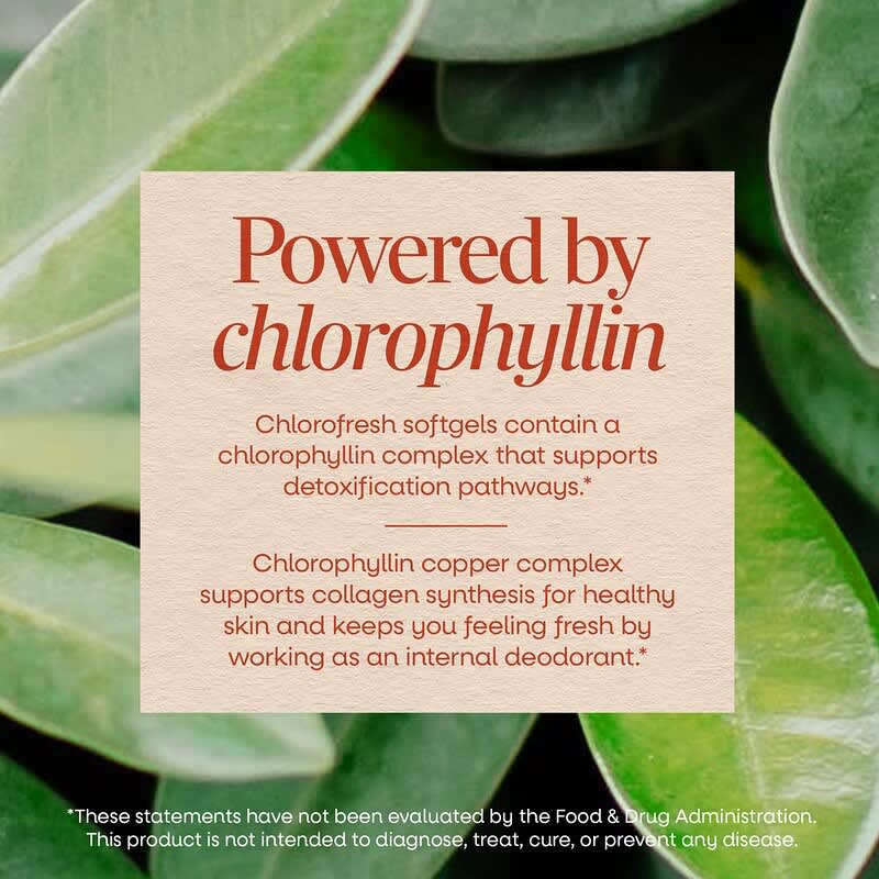 Nature's Way クロロフレッシュ ソフトジェル 90粒 5本セット Chlorofresh®（クロロフレッシュ）、濃縮クロロフィル、ソフトジェル90