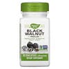 Black Walnut Hulls, 500 mg, 100 Vegan Capsules