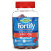 Fortify Gummy Probiotic, Sugar-Free, Berry, 6 Billion, 60 Gummies