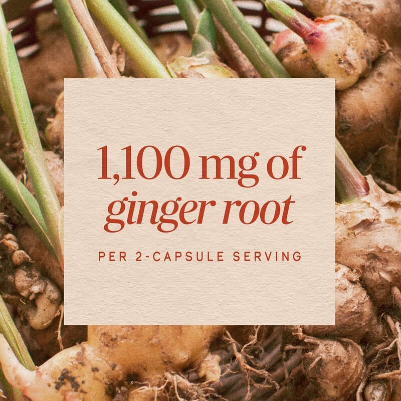 Ginger Root, 240 Vegan Capsules (0.55 mg per Capsule)