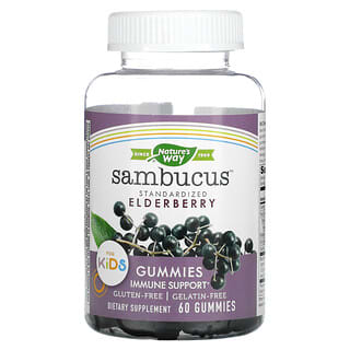 Nature's Way, Sambucus, стандартизована бузина для дітей, 60 жувальних таблеток