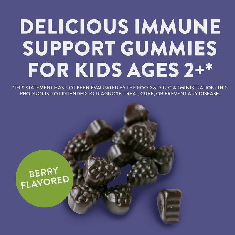 Nature's Way, Sambucus for Kids, Standardized Elderberry Gummies, 60 Gummies