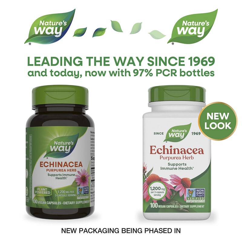 Echinacea Extract エキナセアエキス エキナセア、プルプレアハーブ、ヴィーガンカプセル100粒（1粒あたり